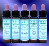 Single Flower Remedies - image