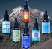 Combination Bach Flower Essences - image