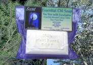 Tea Tree antiseptic soap bar - image