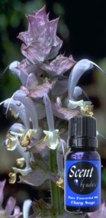 CLARY SAGE 10ml - Multisaver Available