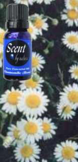 Chamomile Essential Oil - Houseplant Care - image